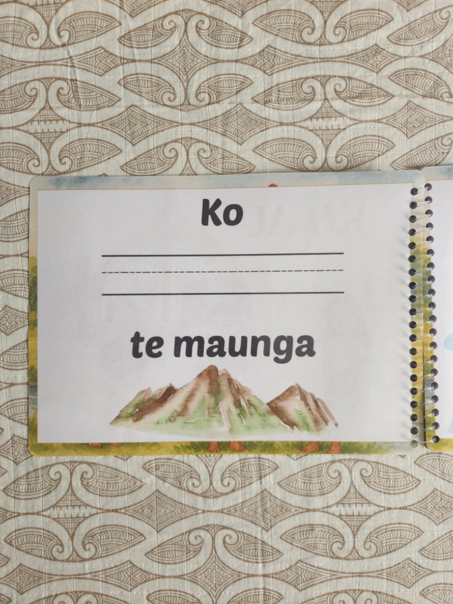 He Huinga Pukapuka