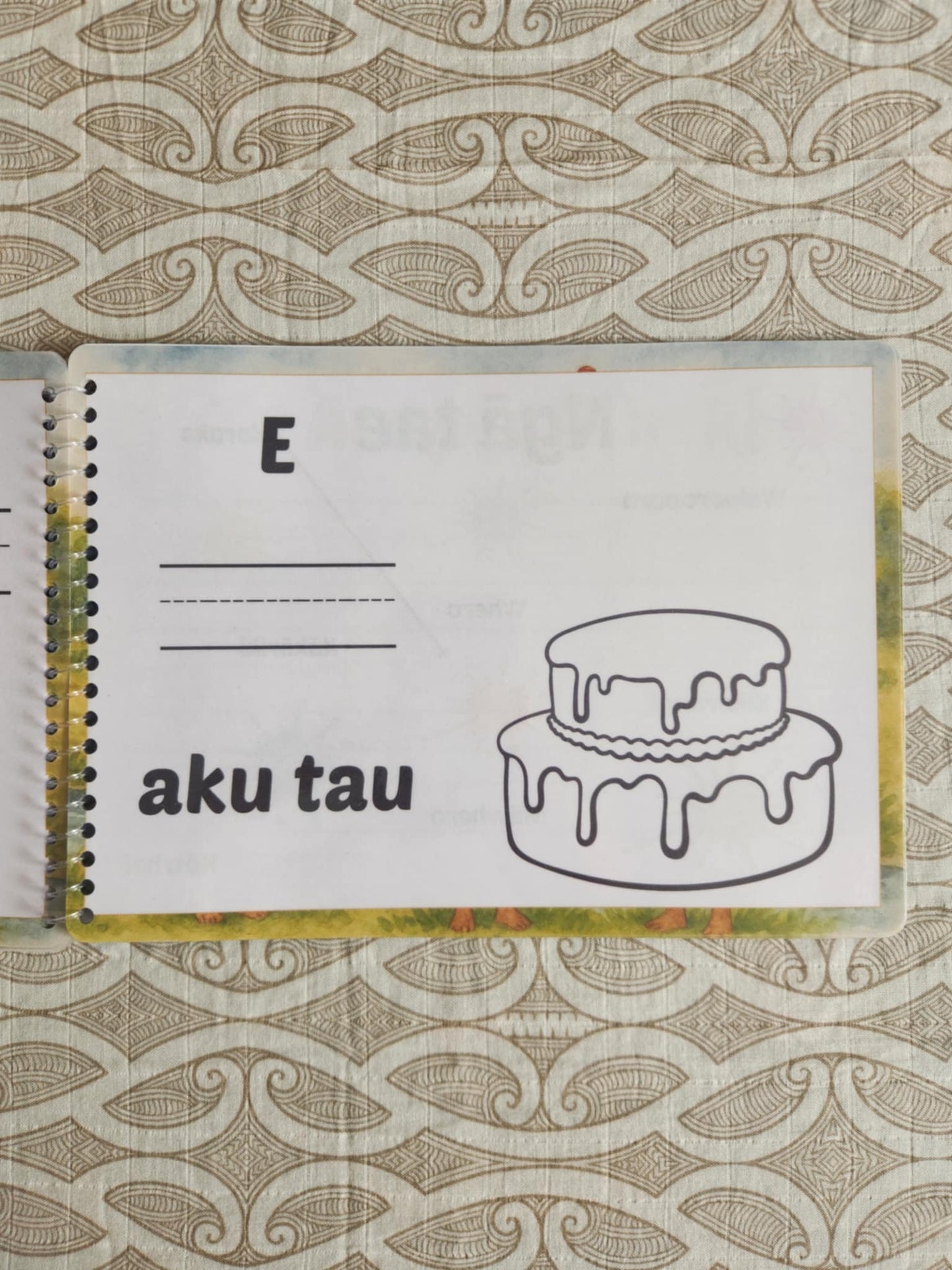 He Huinga Pukapuka