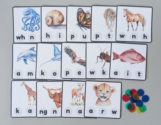 Te Arapū Letter Matching Cards
