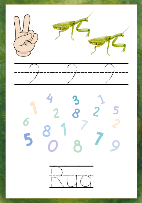 Ngā Tau: Te Ngahere (PDF Download)